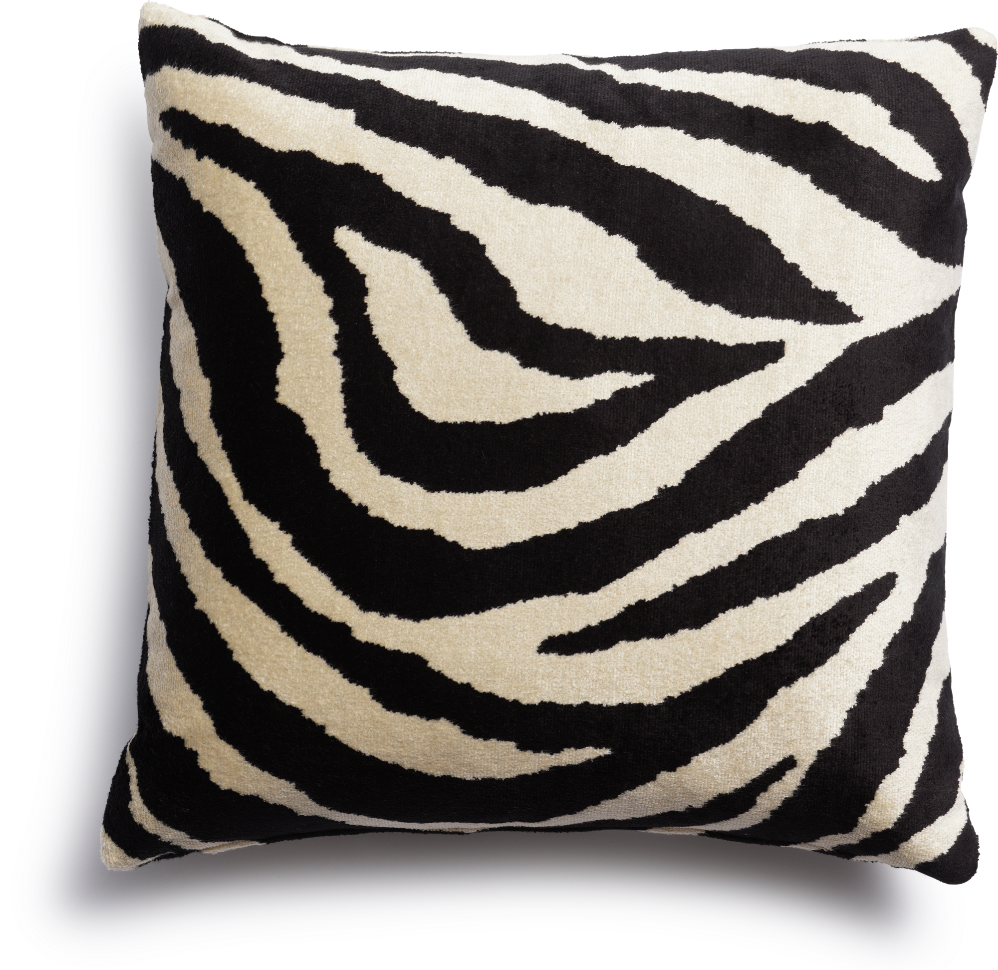 Arty Zebra Decorative pillow